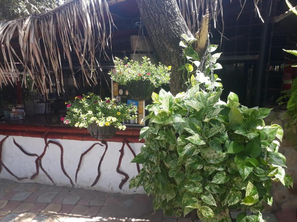 El Penon De Constantino - Tatacoa Otel Villavieja Dış mekan fotoğraf